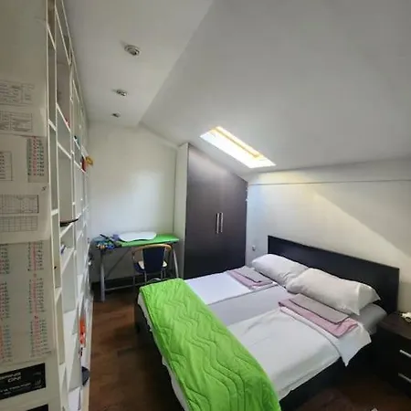 Wenge Apartment *