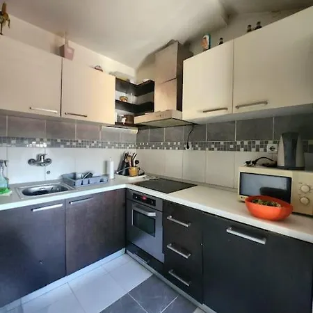 Wenge Belgrade